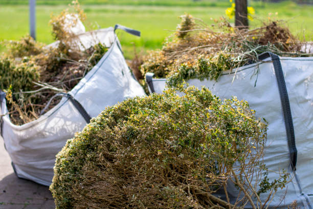 Debris Removal in Charles Town, WV
